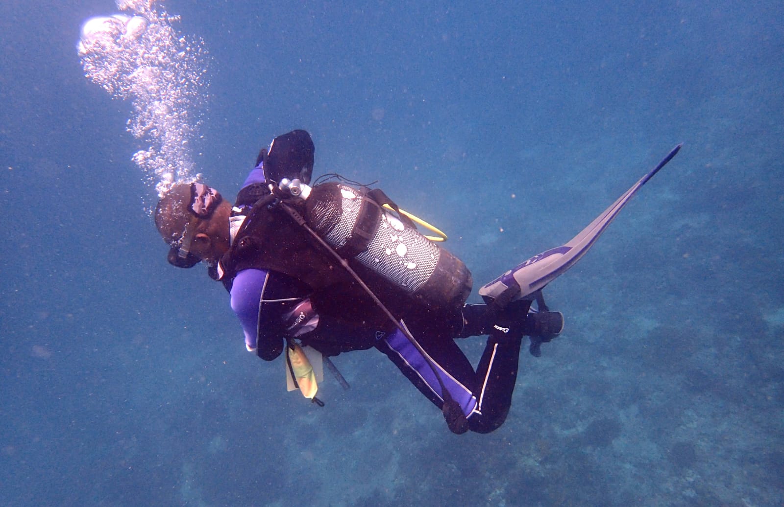 Diving